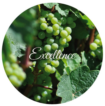 valeurs_excellence
