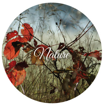 valeurs_nature