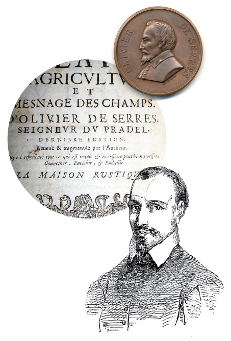 portrait_olivier_de_serres